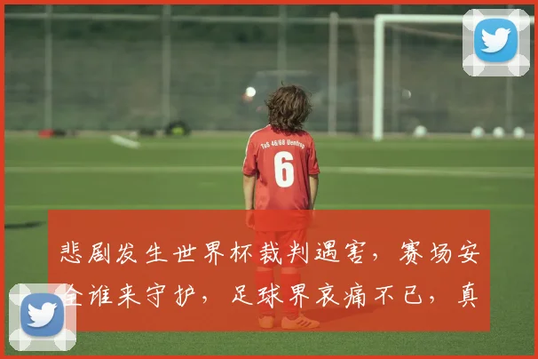 悲剧发生世界杯裁判遇害，赛场安全谁来守护，足球界哀痛不已，真相待查逗