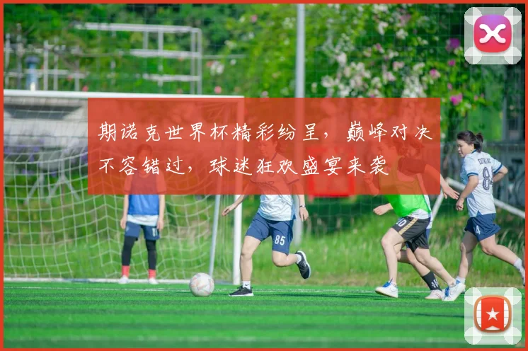 期诺克世界杯精彩纷呈，巅峰对决不容错过，球迷狂欢盛宴来袭
