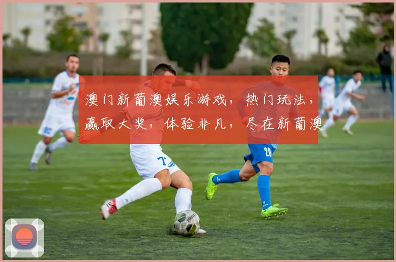 澳门新葡澳娱乐游戏，热门玩法，赢取大奖，体验非凡，尽在新葡澳