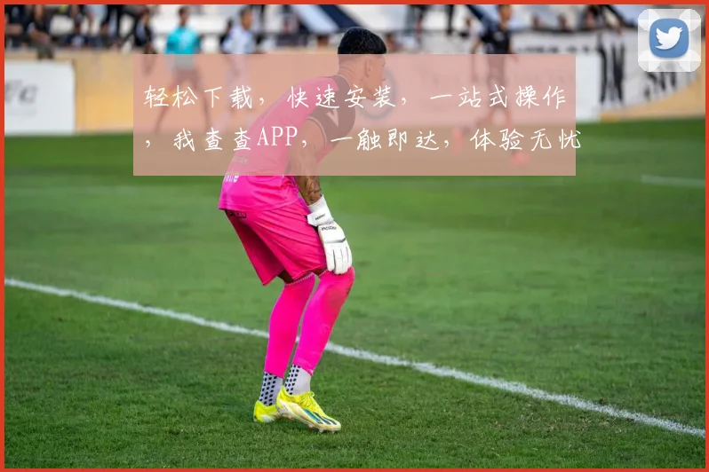 轻松下载，快速安装，一站式操作，我查查APP，一触即达，体验无忧，三步完成