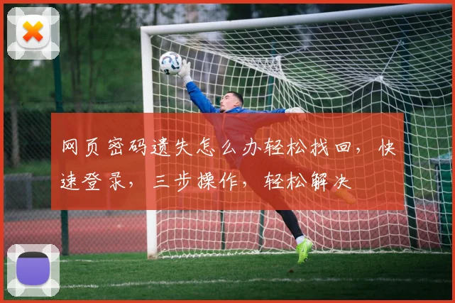 网页密码遗失怎么办轻松找回，快速登录，三步操作，轻松解决