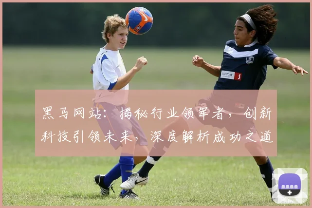 黑马网站：揭秘行业领军者，创新科技引领未来，深度解析成功之道，助力企业腾飞之路
